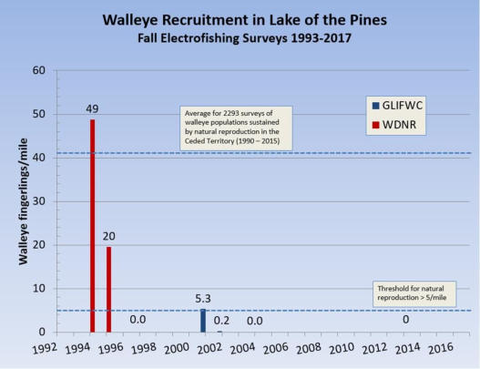 Walleye Recruitment in Lake of the Pines