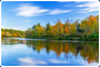 Clean Boats Lean Waters Reducers Invasive Plants and Weeds